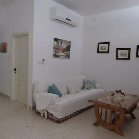 Central Studio Apartment شقة
